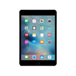 iPad Mini 4 (A1538)