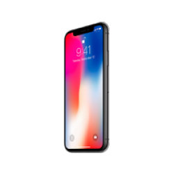 iPhone X (10)