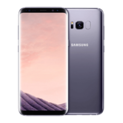 Samsung Galaxy S8 Plus (SM-G955)