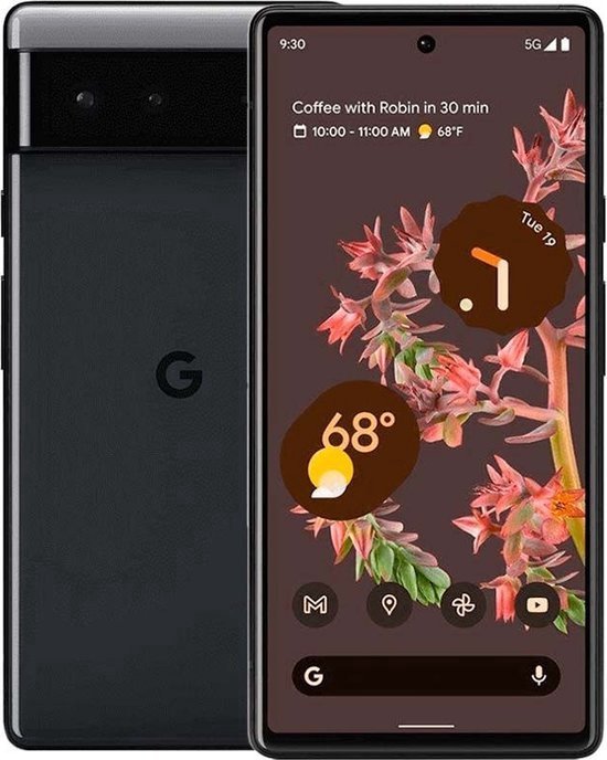 Google Pixel 6 (GB7N6)